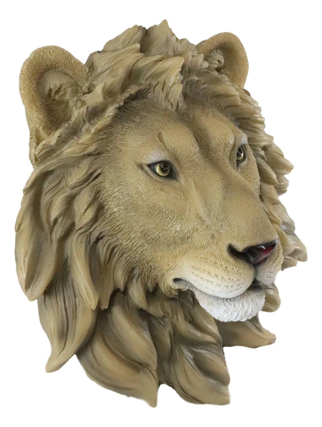 Safari King Of The Jungle Lion Head Wall Plaque 9.25"Tall Taxidermy-6