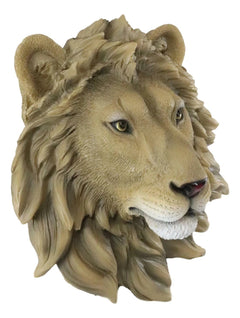 Safari King Of The Jungle Lion Head Wall Plaque 9.25"Tall Taxidermy-6