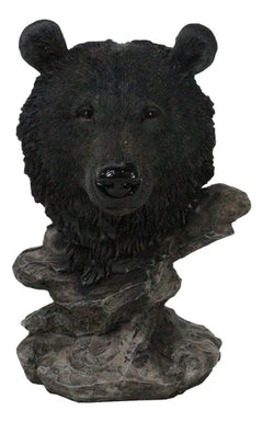 Busto de oso negro de bosque rústico occidental con soporte de estepas rocosas-5