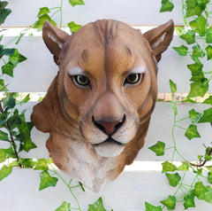 Sarabi Large Lioness Head Wall Decor Plaque 16"Tall Taxidermy Art Decor Figurine-1