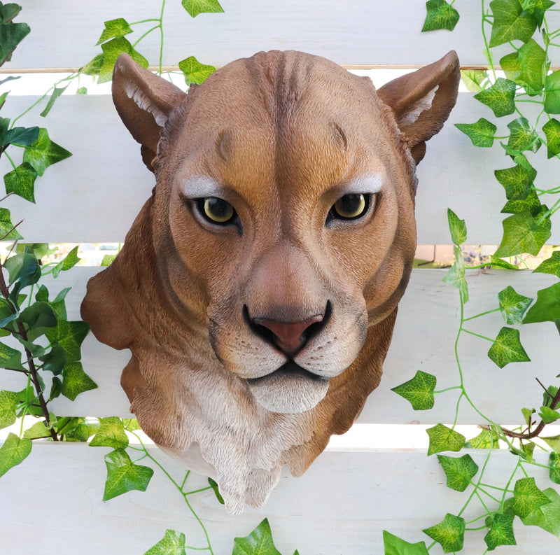 Sarabi Large Lioness Head Wall Decor Plaque 16"Tall Taxidermy Art Decor Figurine-1