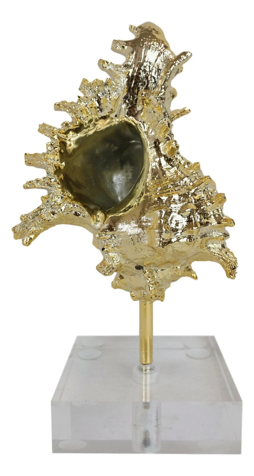 Nautical Marine Coral Golden Conch Large Sea Shell Sculpture With Acrylic Base-3