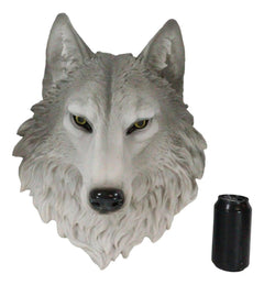 Large Gray Timber Wolf Head Wall Decor Plaque 16.5"Tall Taxidermy Art Decor-5