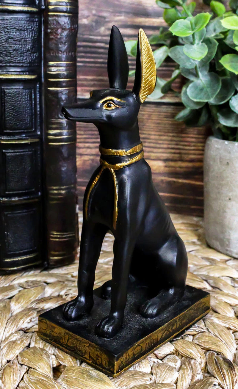 Sitting Ancient Egyptian God Anubis Jackal Dog Figurine 5"H God of The Afterlife-1