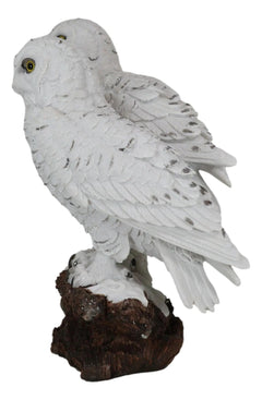 Mystical Two White Snowy Owl Couple Perching On Tree Branch Statue 12.25"Tall-3