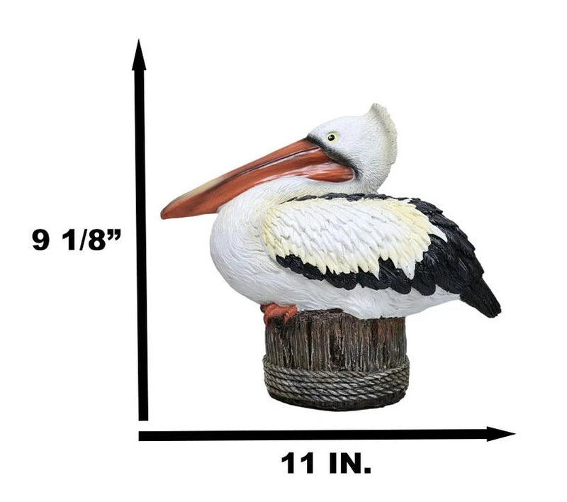 Coastal Marine Great White Pelican Sea Bird Perching On Getty Post Figurine-3