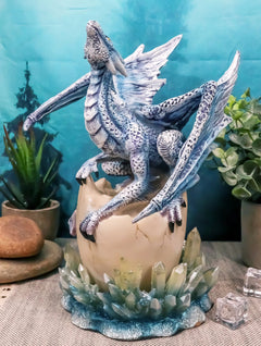 Luna Shylo Arctic Frost Dragon Emerging From Frozen Crystal Egg Hatchling Statue-1