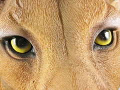 Sarabi Large Lioness Head Wall Decor Plaque 16"Tall Taxidermy Art Decor Figurine-4