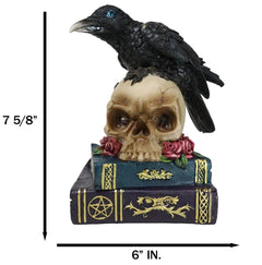 Raven Crow Perching On Skull With LED Eyes And Spell Books Of Prophecy Figurine-4