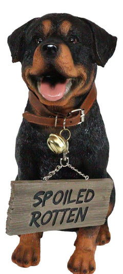 Guest Welcome Realistic Rottweiler Dog With Jingle Collar Sign Decor Statue 13"H-2