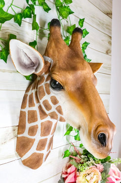 African Safari Long Necked Giraffe Head Wall Decor Scherezade Bust Figurine-1