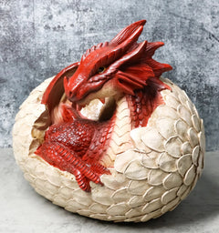 Large Smaug Red Baby Dragon Hatchling in Egg Statue 9.5" Long Dungeons Dragons-1