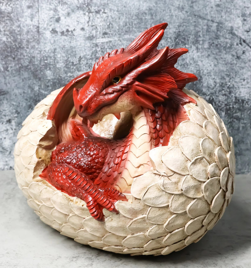 Large Smaug Red Baby Dragon Hatchling in Egg Statue 9.5" Long Dungeons Dragons-1