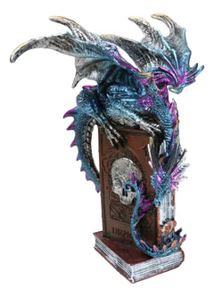 Spell Caster Metallic Ocean Dragon Perching On Necromancy Skull Books Figurine-2