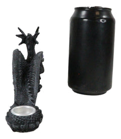 Longwei Dragon Holding Blue Orb Incense Burner Sculpture Figurine in Faux Stone-2