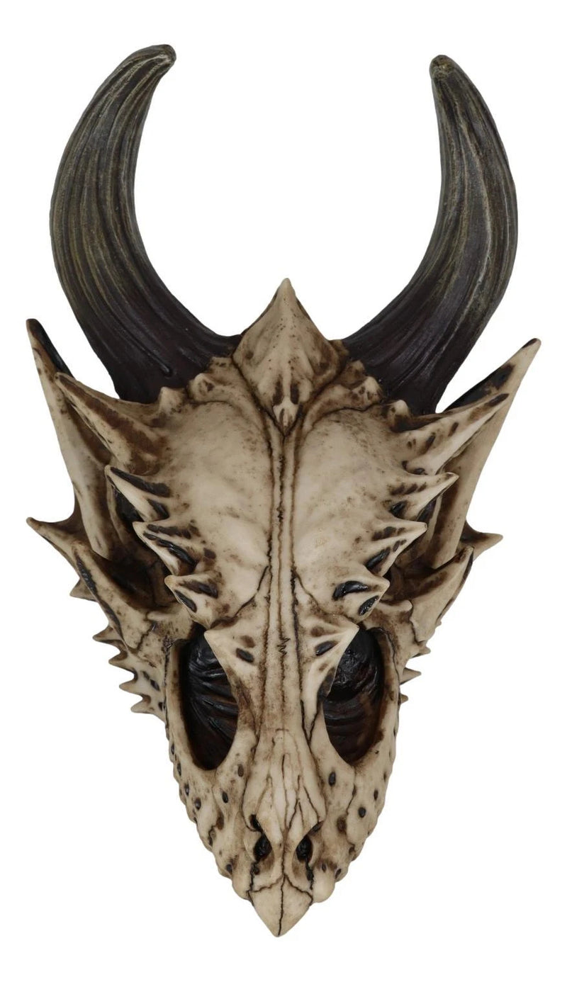 Decoración de pared con calavera de dragón, figura realista de cabeza de dragón Beowulf jurásico fósil para pared, estante, repisa o sala de fantasía gótica.-2