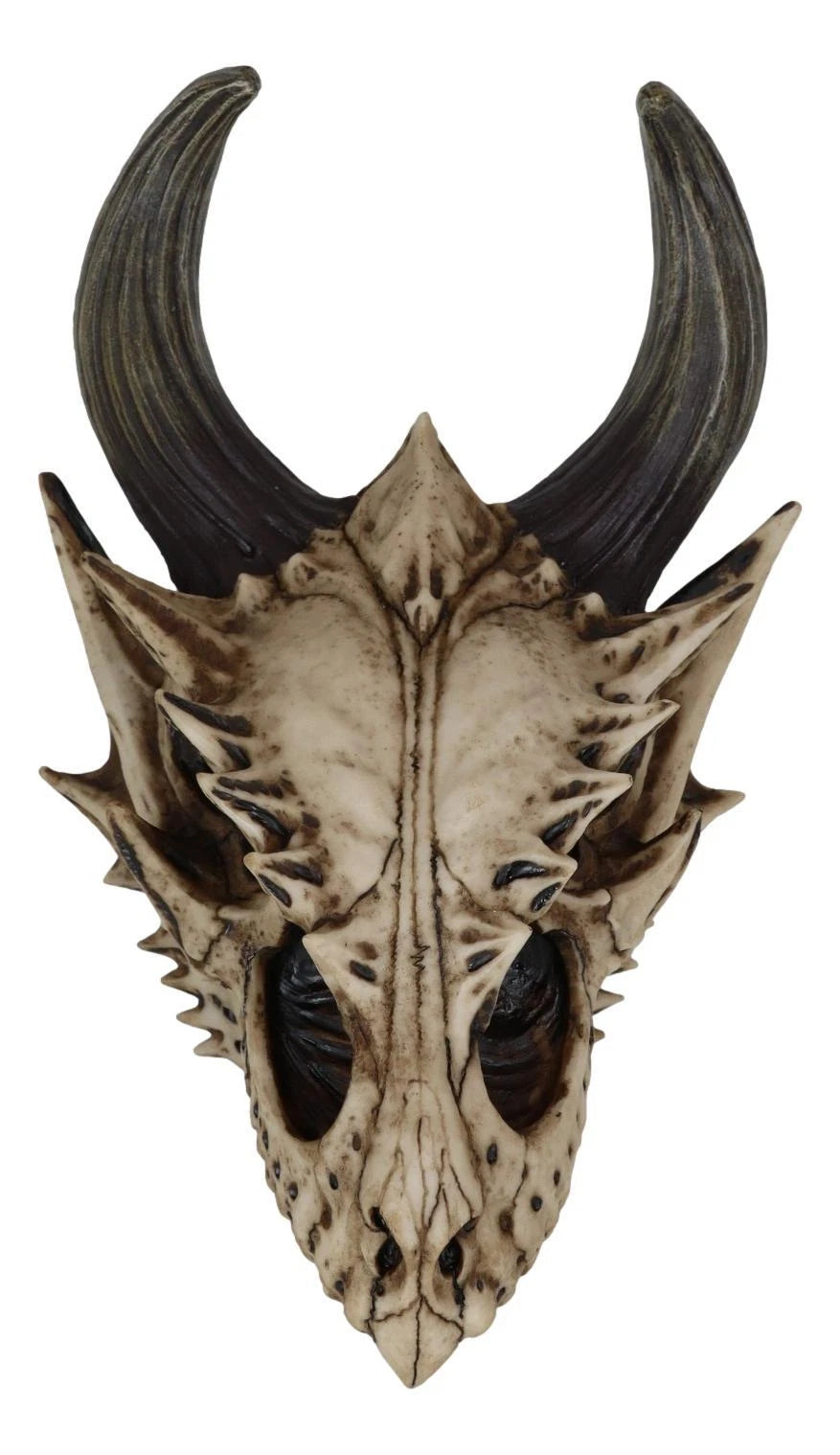 Dragon Skull Wall Decor, Realistic Fossil Jurassic Beowulf Dragon Head Figurine for Wall, Shelf, Mantle, or Gothic Fantasy Room Display