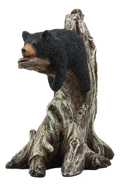 Lazy Days Of Summer Black Bear Sleeping On Tree Branch Statue-9
