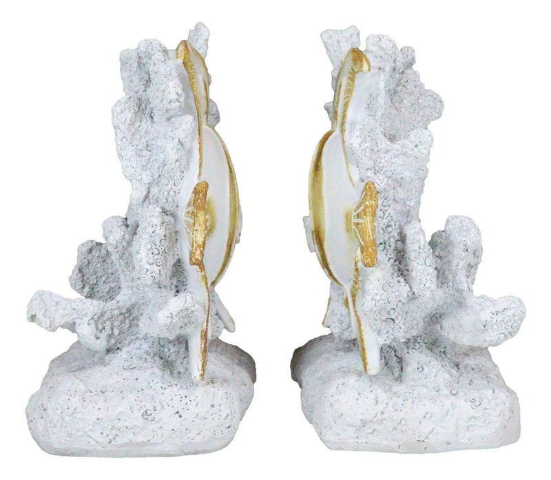 Nautical Sea Coastal Marine Angelfish Fishes Swimming By Corals Bookends Pair-3