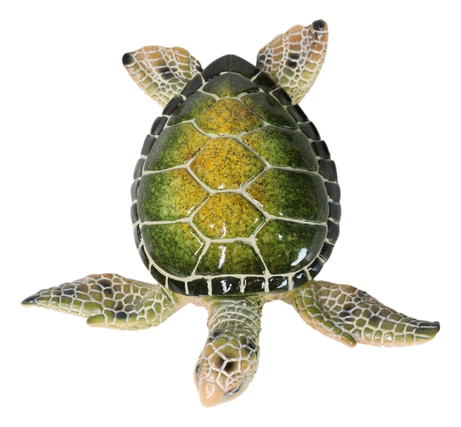 Ocean Marine Green Sea Turtle Decorative Key Stash Decorative Trinket Box-4