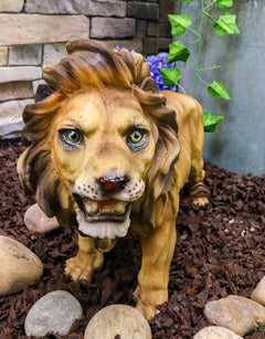 Realistic African Lion King Of The Jungle Growling And Baring Teeth Statue 16"L-2