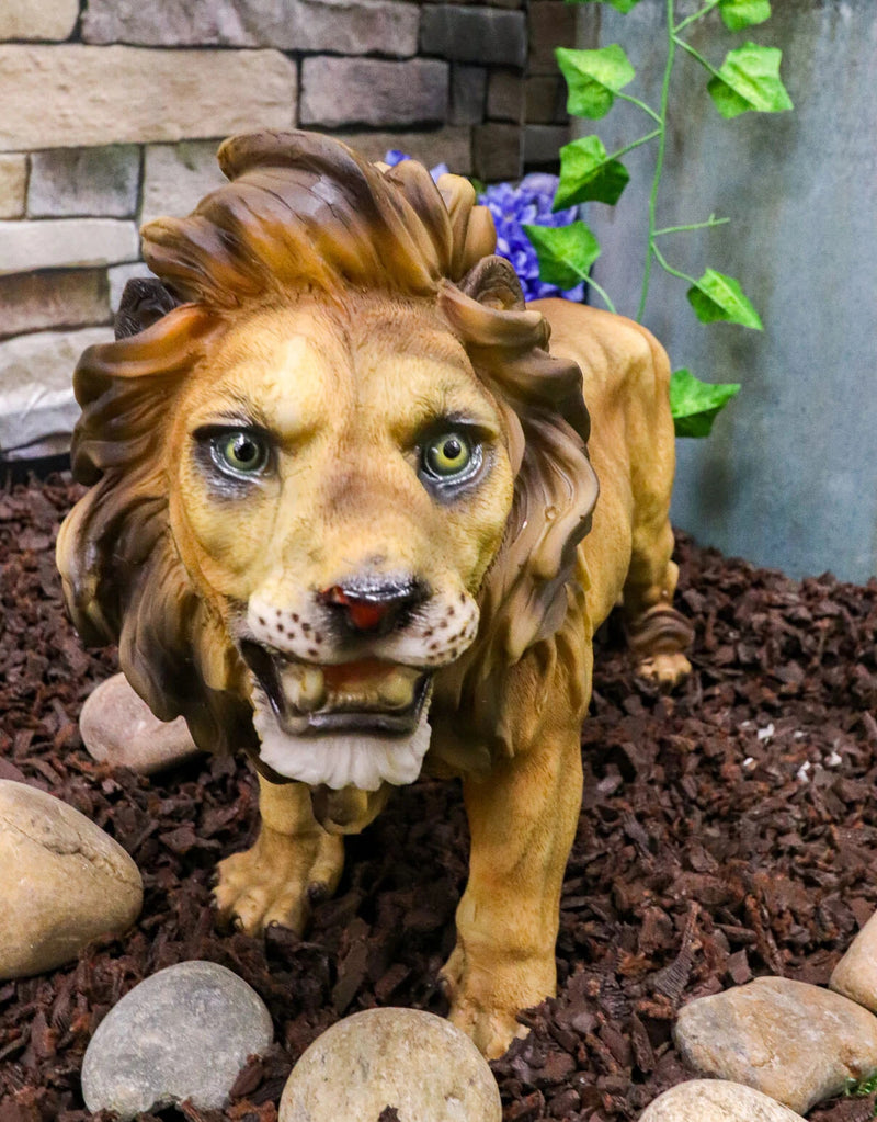 Realistic African Lion King Of The Jungle Growling And Baring Teeth Statue 16"L-2