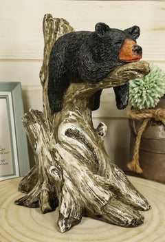 Lazy Days Of Summer Black Bear Sleeping On Tree Branch Statue-2