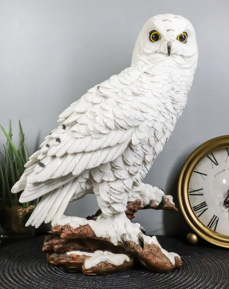 Estatua de búho blanco místico de 31 cm de alto, decoración nocturna con búhos.-1