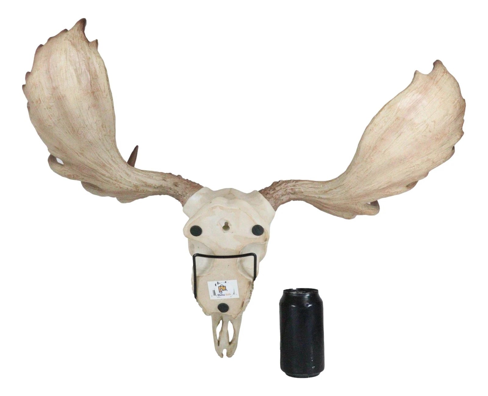 Czar North American Bull Moose Skull Wall Decor 22"Wide Wall Mount Plaque Art-5
