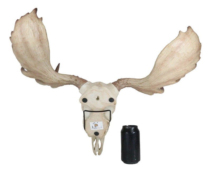 Czar North American Bull Moose Skull Wall Decor 22"Wide Wall Mount Plaque Art-5