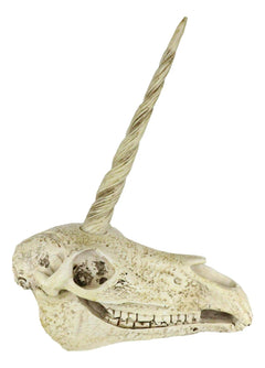 Fossil Unicorn Skull Rare Mythical Phantom Creature Skeleton Figurine-5