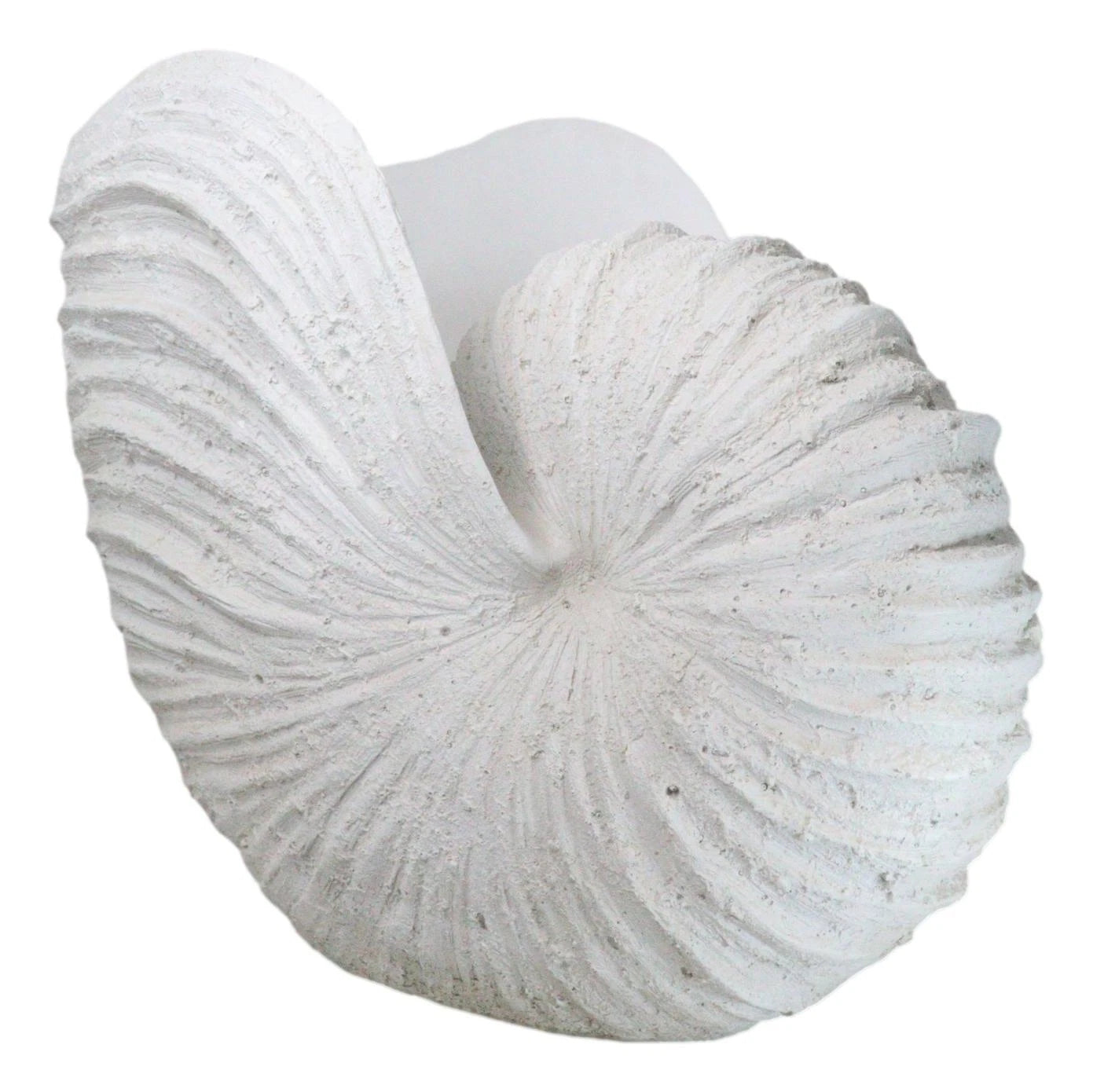 18.5"L White Nautical Marine Ocean Giant Nautilus Sea Shell Decorative Sculpture-7
