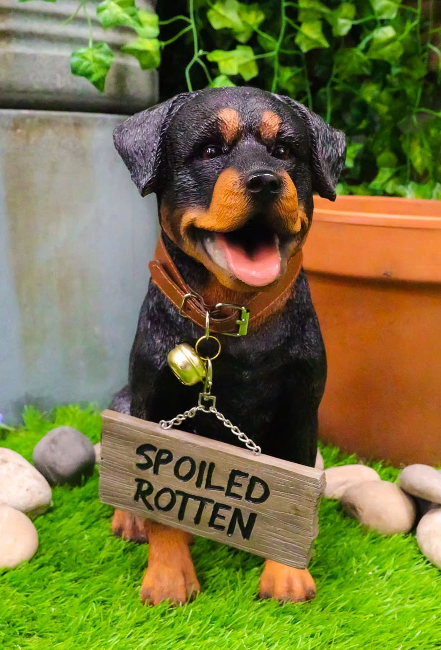Guest Welcome Realistic Rottweiler Dog With Jingle Collar Sign Decor Statue 13"H-1