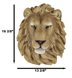 Lion Head Wall Decor Plaque 16" Tall Taxidermy Art Decor Sculpture-4