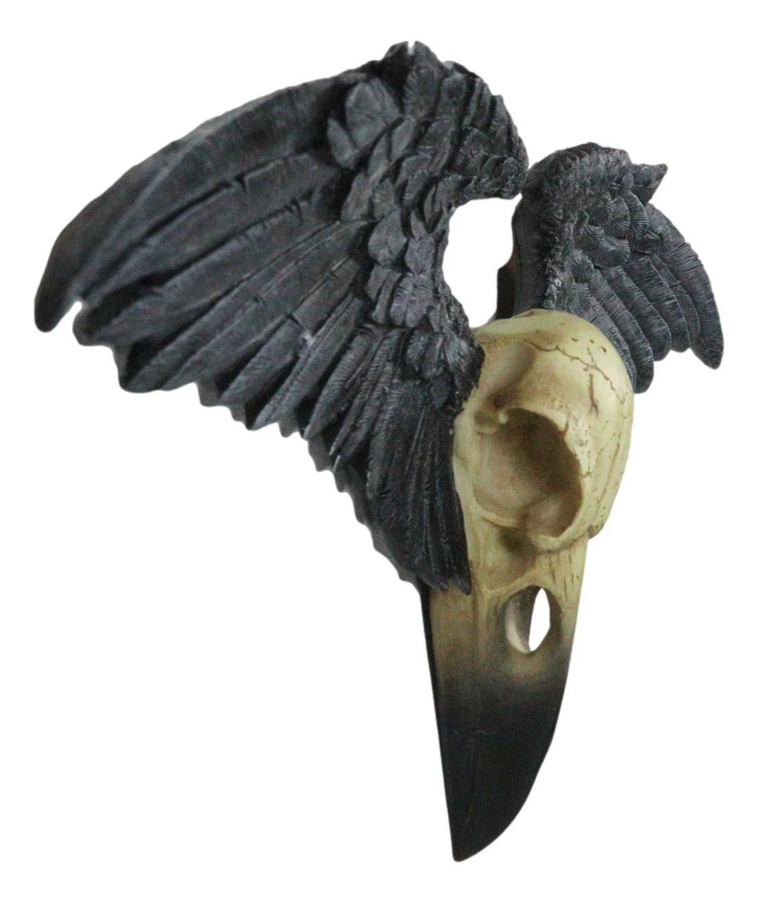 Ravenger Thanatos Raven Crow Skull With Black Angel Wings Wall Decor Plaque-5