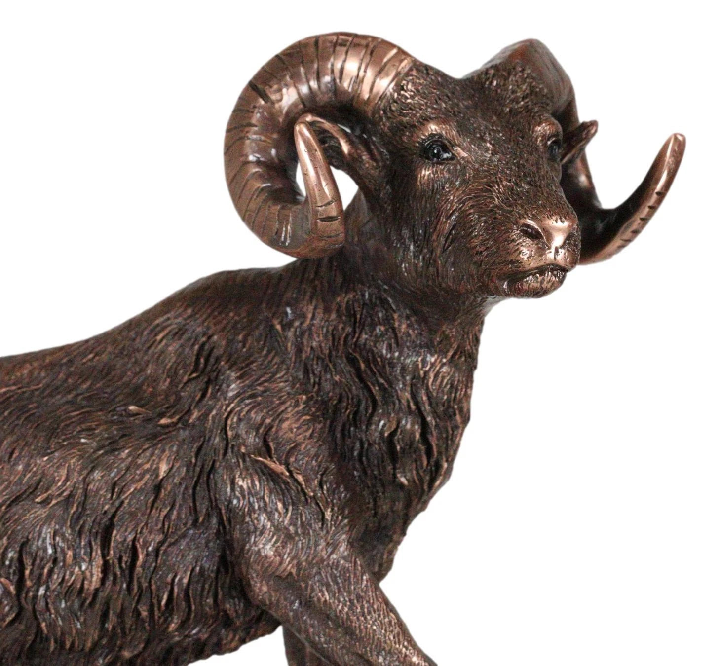 Taxidermia de animales salvajes: carnero cimarrón trepando sobre una roca inclinada, estatua de 30 cm de alto-3