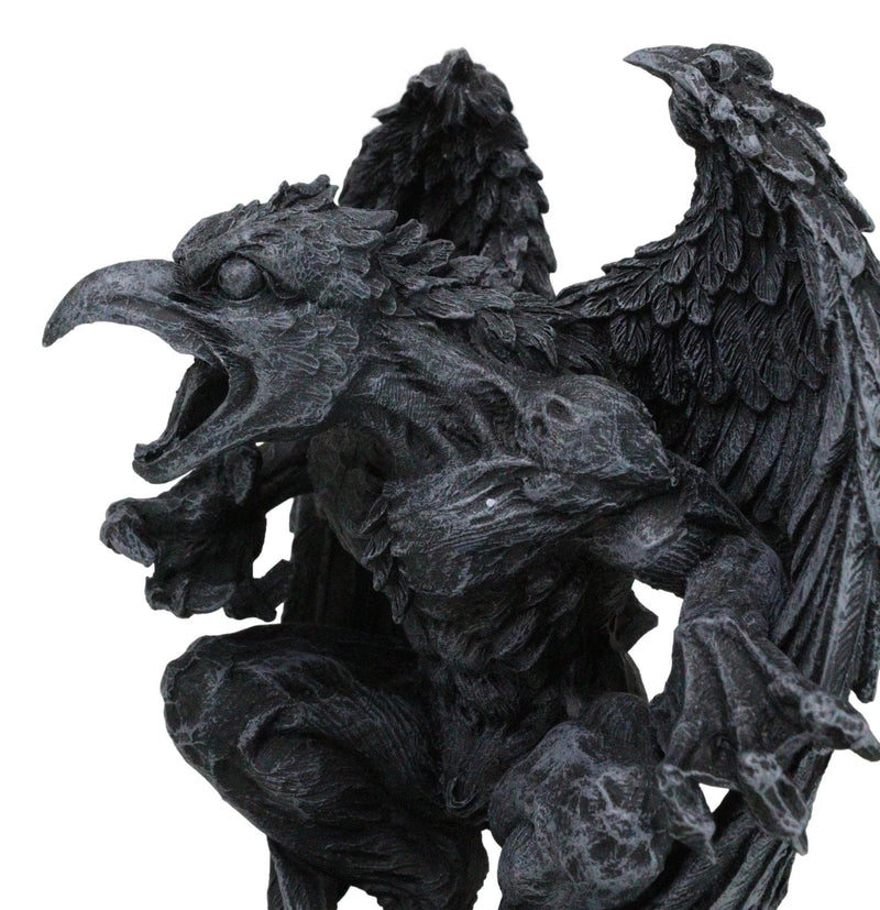 Gothic Winged Avian Eagle Bird Renegade Gargoyle Decorative Figurine 6.25"H-5