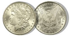 Dólares de plata Morgan NGC/PCGS Calidad MS-66-1