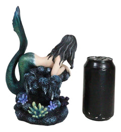 Siren Mermaid With Iridescent Tail And Turtle Companion By Coral Rocks Statue-3