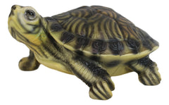 Lifelike Yellow Bellied Slider Turtle Tortoise Figurine 4.75"L Zen Feng Shui-4