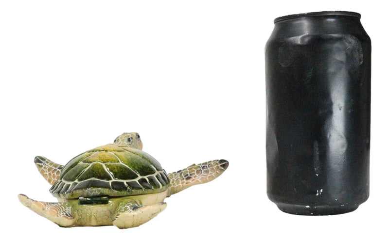 Ocean Marine Green Sea Turtle Decorative Key Stash Decorative Trinket Box-5