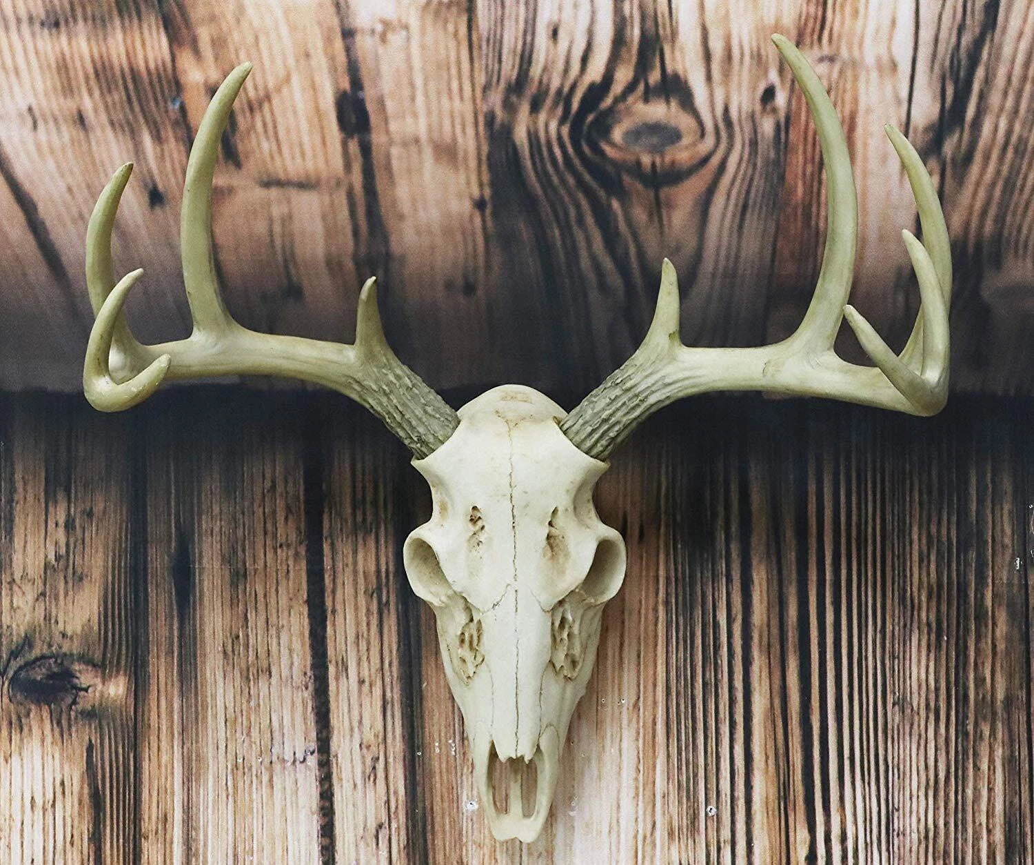Rustic Hunter Rack Deer Skull Antler Wall Plaque Decor 10 Point Buck Figurine