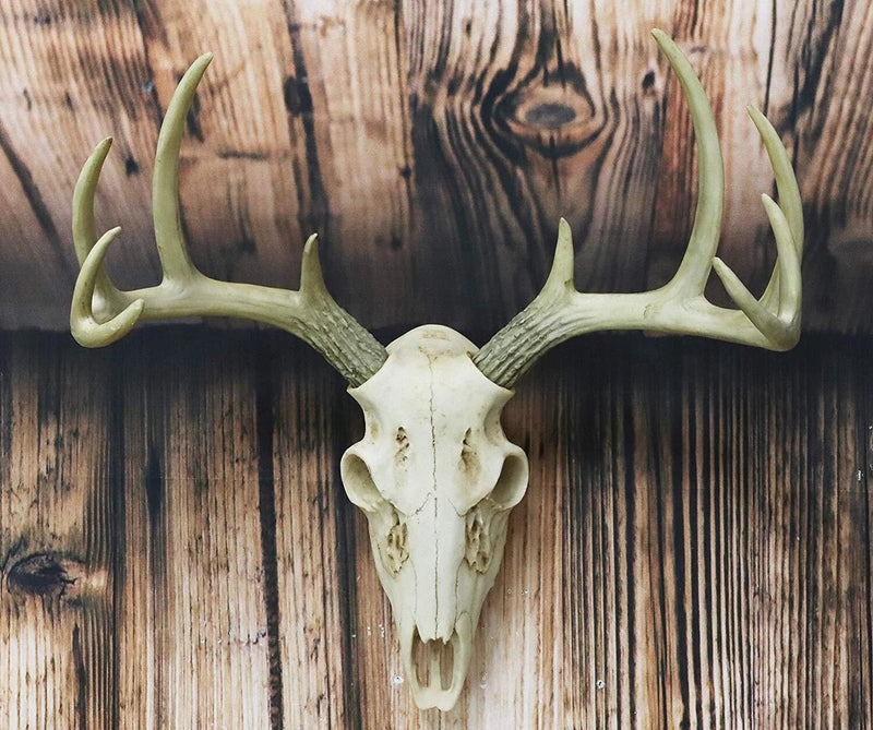 Rustic Hunter Rack Deer Skull Antler Wall Plaque Decor 10 Point Buck Figurine-1