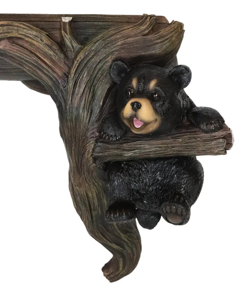 Whimsical 2 Climbing Black Bears By Forest Tree Branches Floating Wall Shelf-4