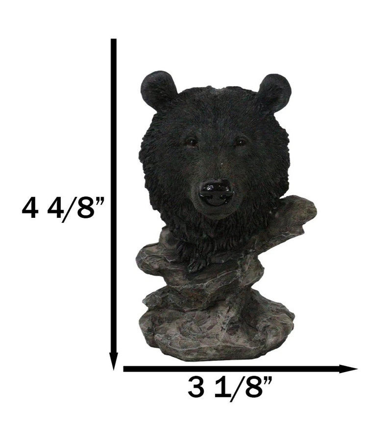 Busto de oso negro de bosque rústico occidental con soporte de estepas rocosas-3