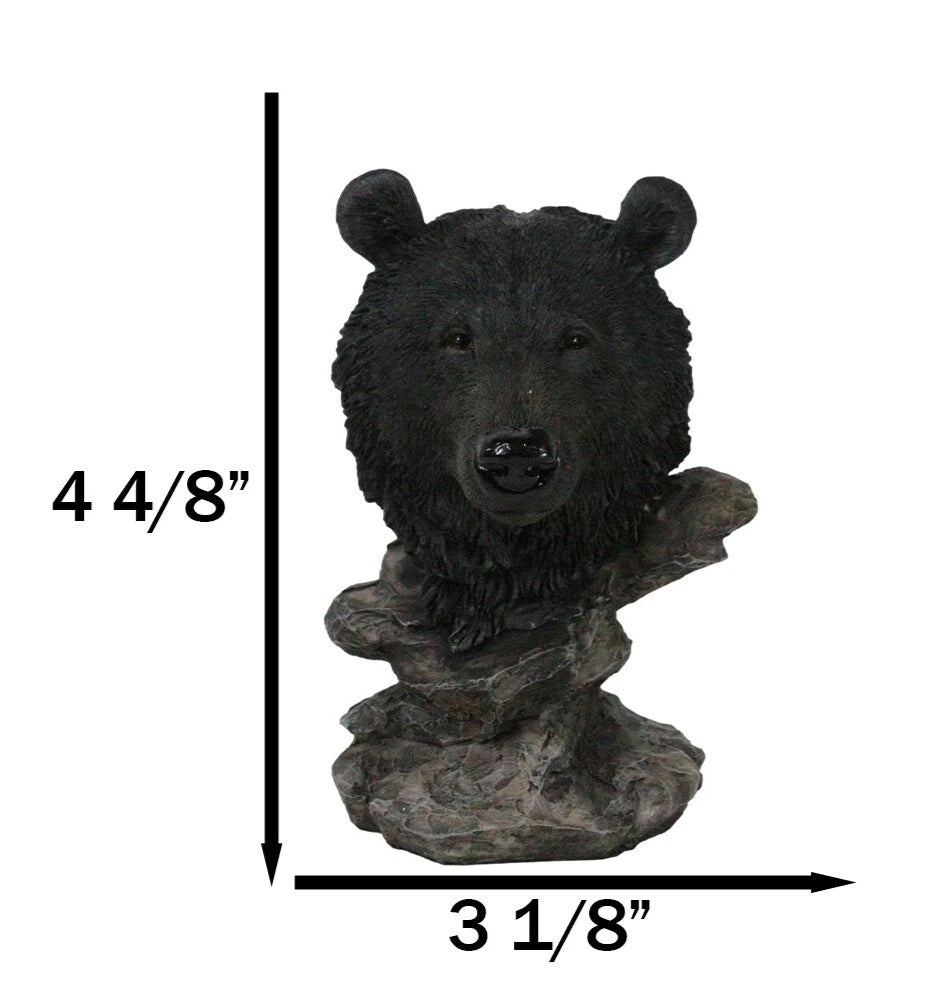 Busto de oso negro de bosque rústico occidental con soporte de estepas rocosas-3