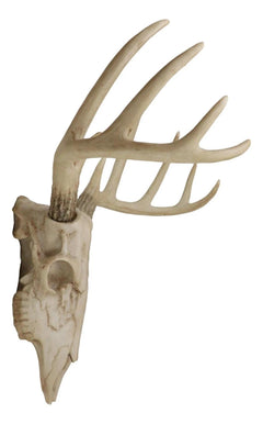 Rustic Hunter Rack Deer Skull Antler Wall Plaque Decor 10 Point Buck Figurine-2