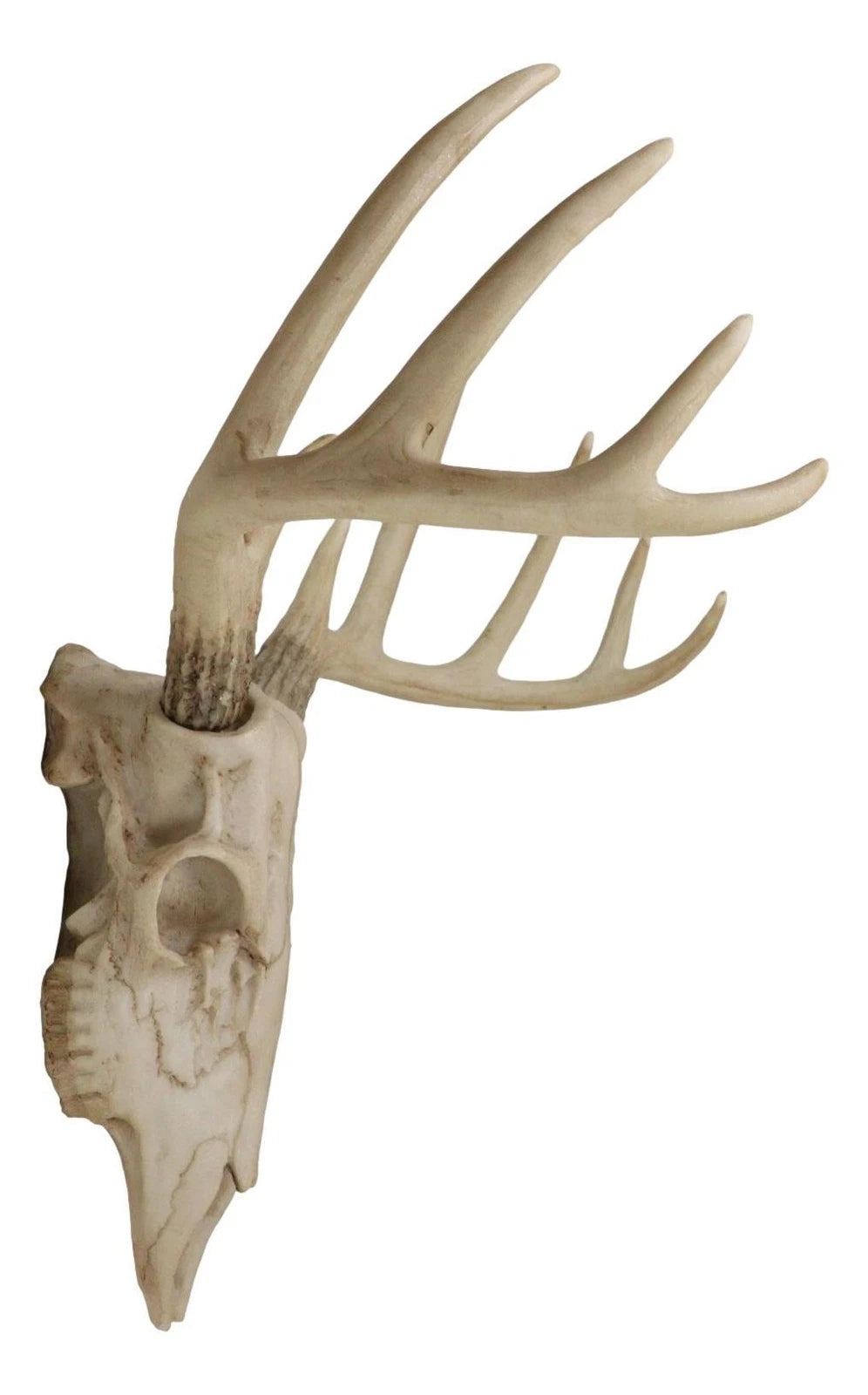 Rustic Hunter Rack Deer Skull Antler Wall Plaque Decor 10 Point Buck Figurine