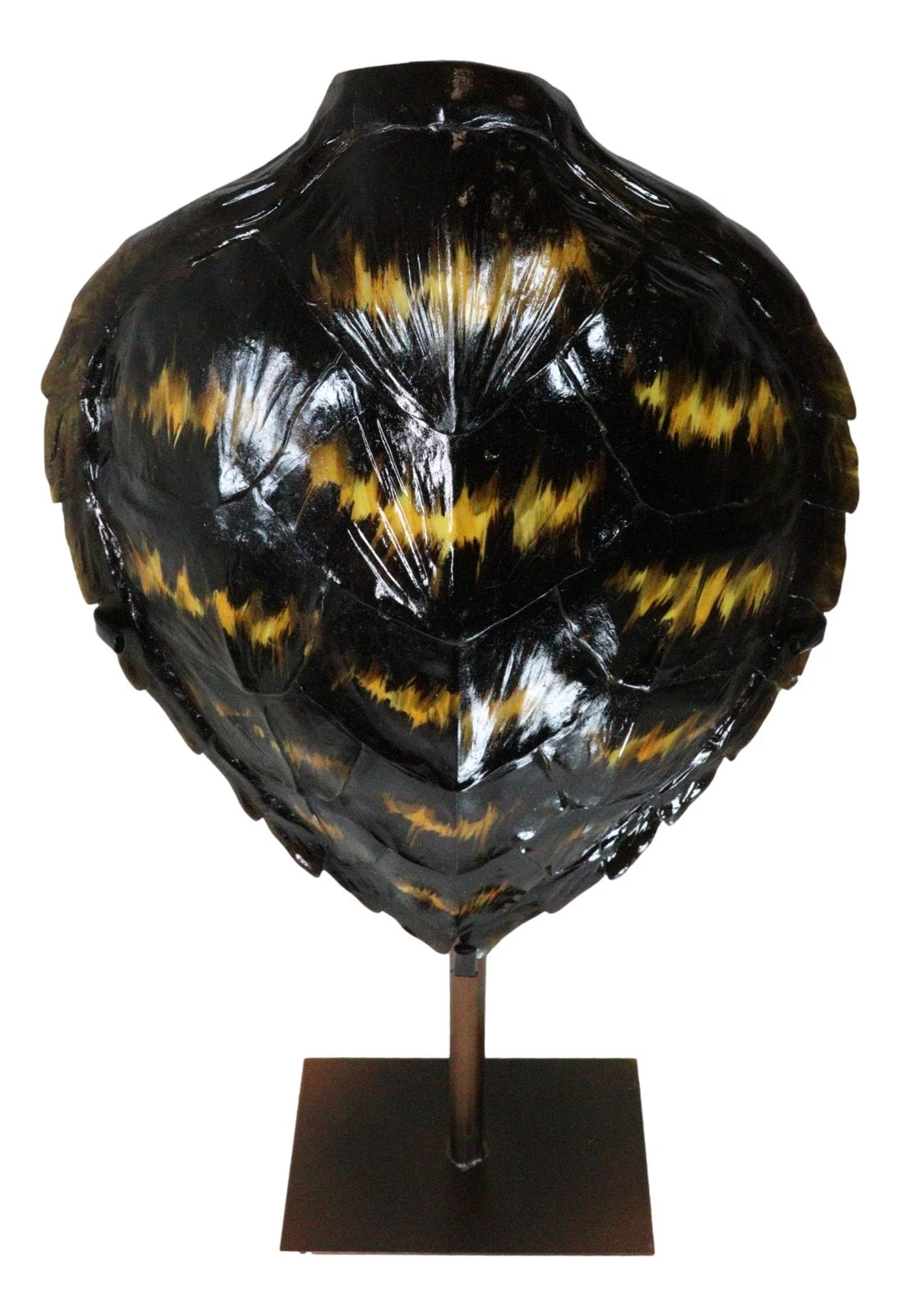 Nautical Marine Black Tone Faux Hawksbill Turtle Shell Sculpture With Pole Stand-5