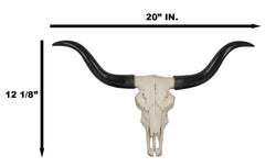 Texas Longhorn Steer Cattle Cow Skull Wall Hanging Plaque Figurine 21"L-2